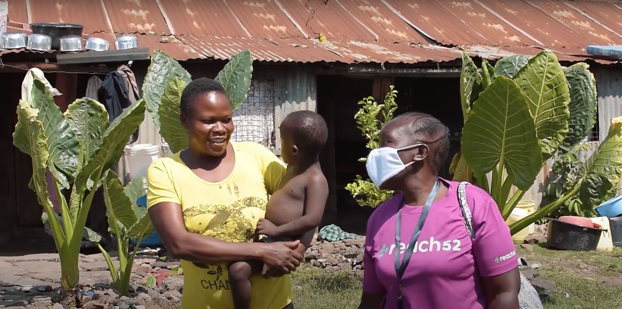 reach52's Partnership with Pfizer