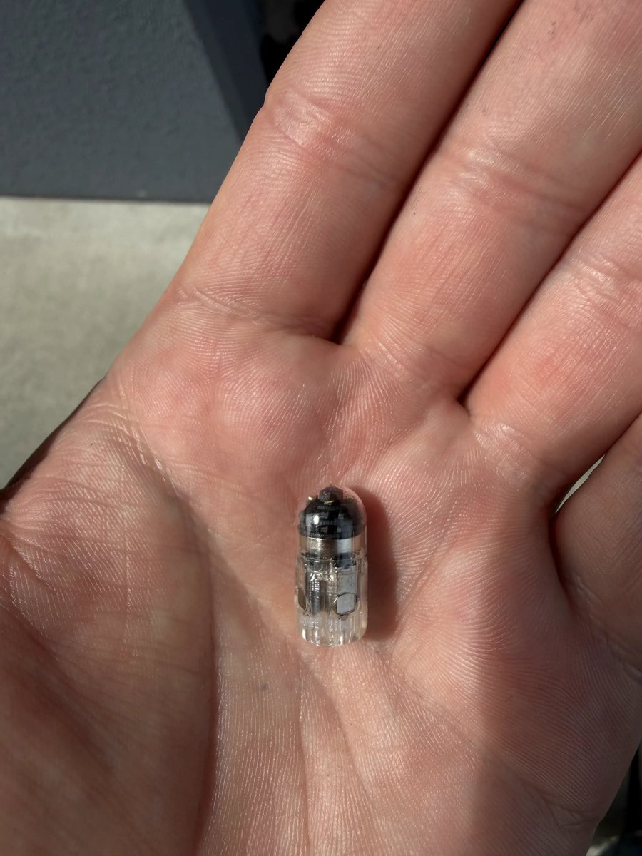 Citrini on X: 'Would you swallow this robot?'