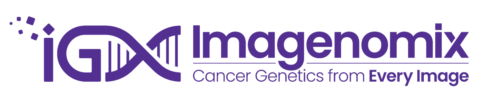 Imagenomix