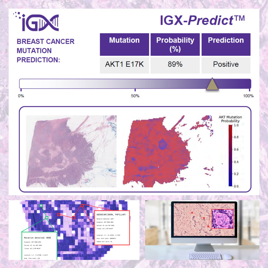 Imagenomix