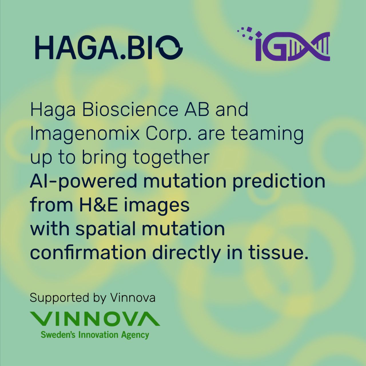 Haga Bioscience, Imagenomix Partner for AI Spatial Biomarker Analysis in Cancer Pathology